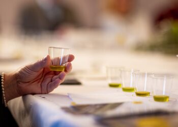 Dal 18 ottobre al 16 novembre arriva la XXVIII edizione di Frantoi Aperti in Umbria