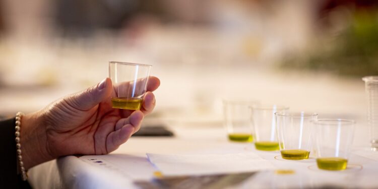 Dal 18 ottobre al 16 novembre arriva la XXVIII edizione di Frantoi Aperti in Umbria