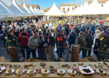 I migliori eventi da non perdere nel fine settimana 21-22-23 novembre