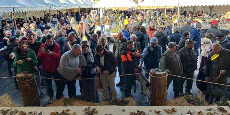 I migliori eventi da non perdere nel fine settimana 21-22-23 novembre