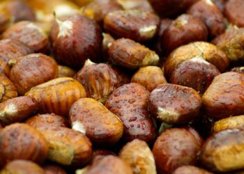 Castanea Expo: dal 12 al 14 dicembre a Firenze la prima fiera nazionale della castanicoltura