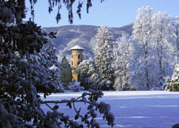 L’Immacolata nelle Dimore Storiche: in Piemonte una giornata di letture natalizie