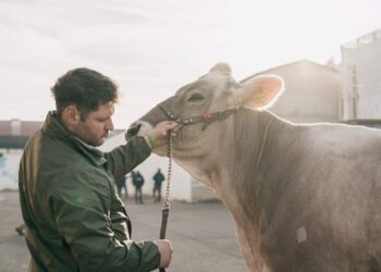 Fieragricola 2026: dal 4 al 7 febbraio Verona torna capitale europea dell’agricoltura