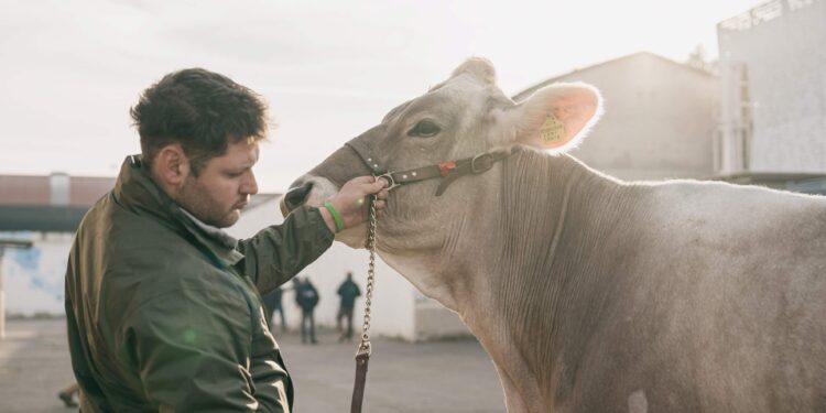Fieragricola 2026: dal 4 al 7 febbraio Verona torna capitale europea dell’agricoltura