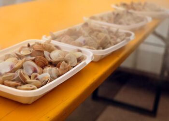 Nei weekend 7-8 e 14-15 marzo a Lignano Sabbiadoro torna la Festa delle Cape