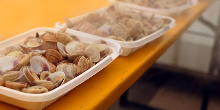 Nei weekend 7-8 e 14-15 marzo a Lignano Sabbiadoro torna la Festa delle Cape