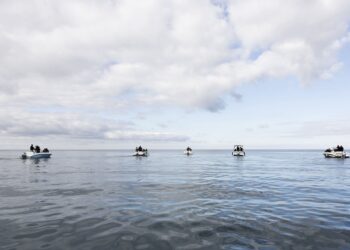 Dal 4 al 29 marzo al Palazzo Vecchio di Firenze “Rotta”, un’opera immersiva sul Mediterraneo