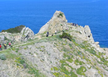 Isola d’Elba: Pasqua e giornate di primavera da vivere tra esperienze trekking, e-bike e cielo stellato