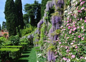 Ad Alassio (SV) riaprono i Giardini di Villa della Pergola