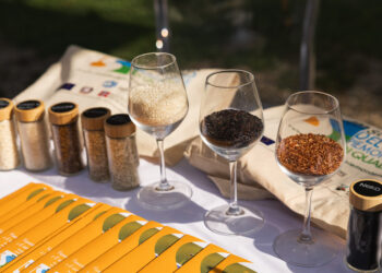 Quando le risaie diventano oro: a settembre a Vercelli torna il Festival del Riso