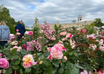 Dal 24 al 26 aprile la Reggia di Colorno (PR) ospita “Nel Segno del Giglio”