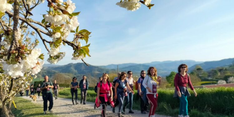 Passi e parole di vino: il 18 e 19 aprile a Mercato Saraceno (FC) escursioni e degustazioni