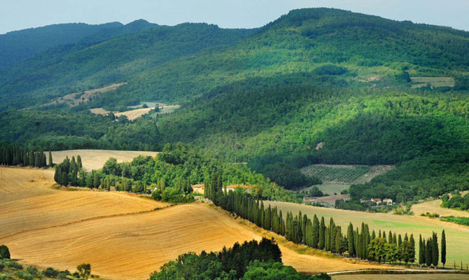 mugello