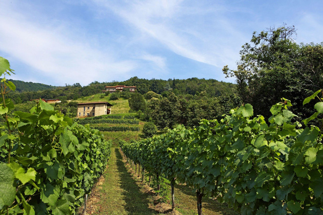 In camper fra le vigne: apre il primo Agricampeggio della Franciacorta In camper fra le vigne: apre il primo Agricampeggio della Franciacorta