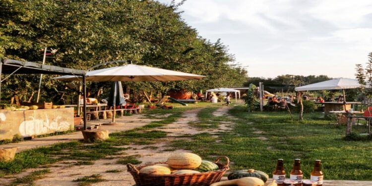 Garden Sharing: Strutture con corsi e attività
