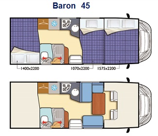 Baron-45-pianta