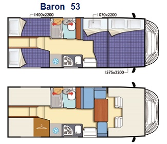 Baron-53-pianta