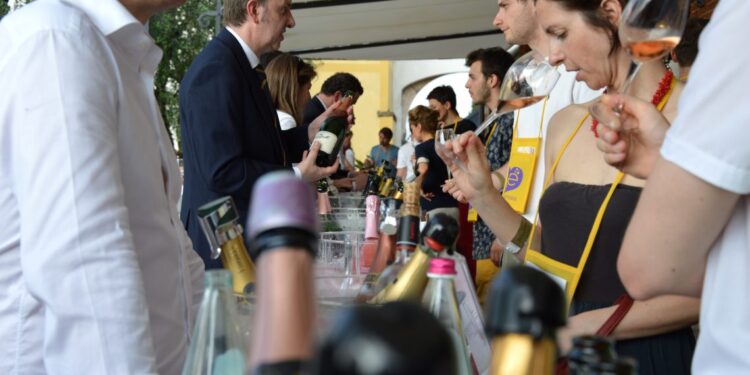 Bollicine Wine Experience