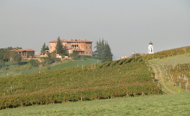Borgonovo