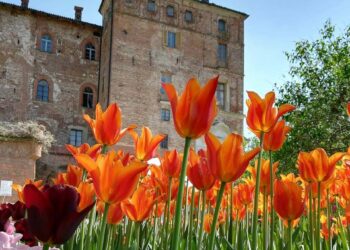 In Piemonte tra i colori primaverili del Castello di Pralormo (TO)