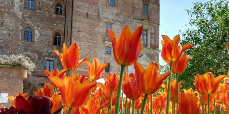 In Piemonte tra i colori primaverili del Castello di Pralormo (TO)
