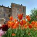 In Piemonte tra i colori primaverili del Castello di Pralormo (TO)