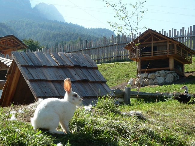 Camping Alpe di Siusi