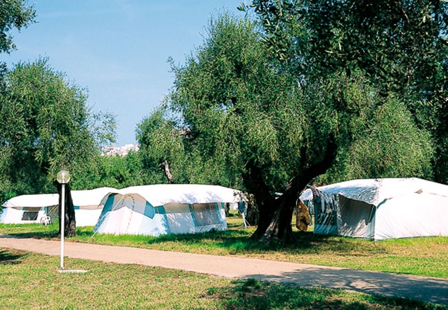 Camping Parco degli Ulivi Camping Parco degli Ulivi