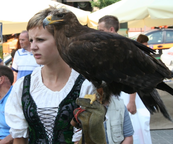Cracovia, aquila reale Cracovia, aquila reale