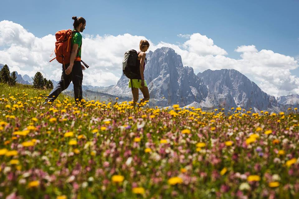 Dolomiti