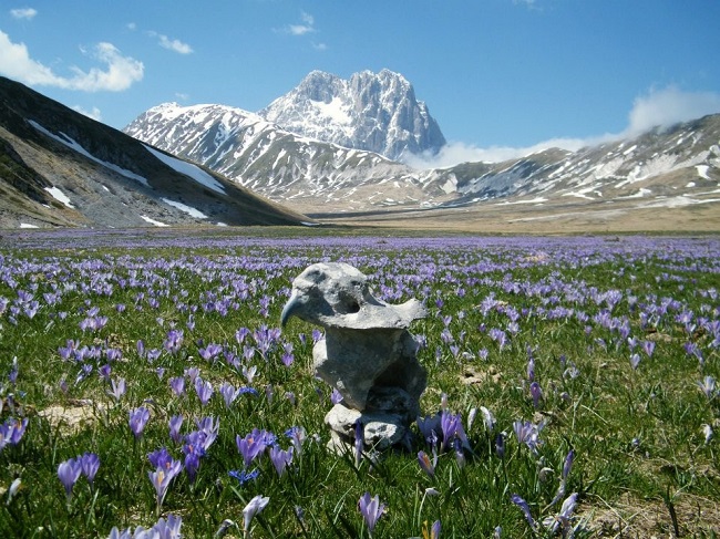 Gran Sasso Gran Sasso