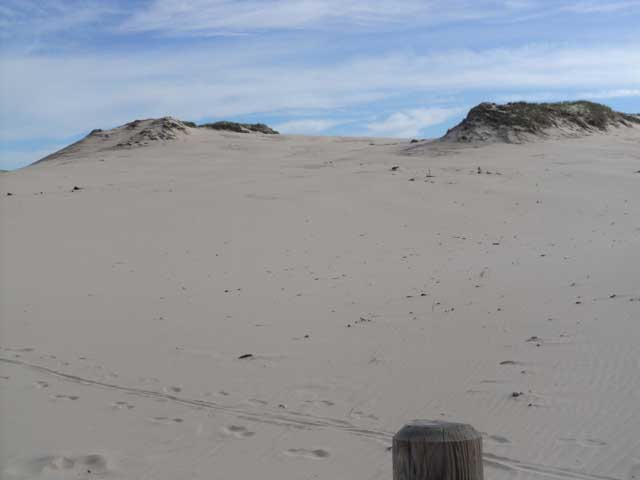 LE DUNE