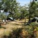 Nuove strutture Garden Sharing: agricamping per camperisti