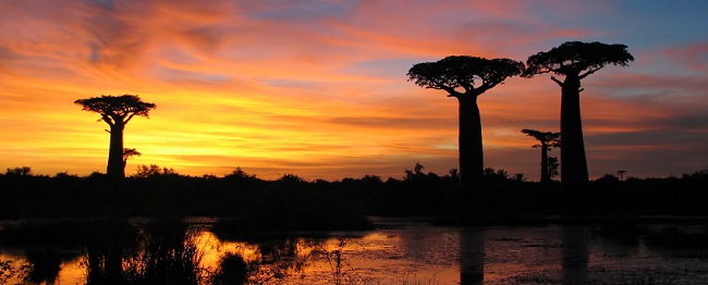 Madagascar_tramonto