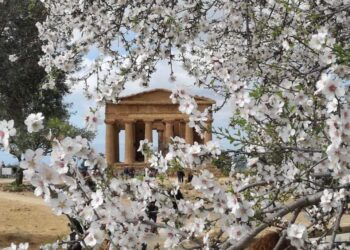Dal 9 al 17 marzo ad Agrigento torna Mandorlo in Fiore, la festa della primavera