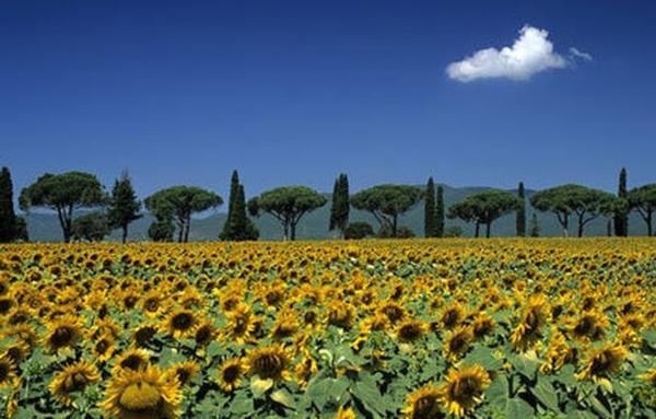 Maremma Maremma