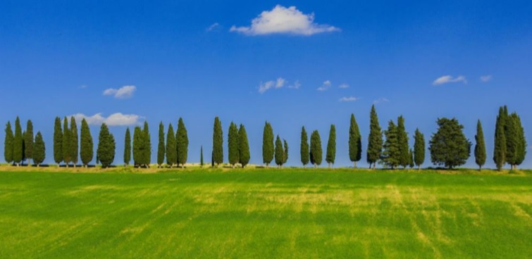 Mugello