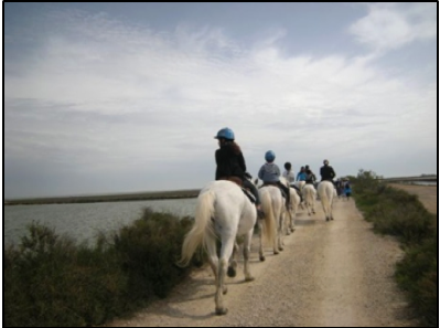 Turisti a cavallo sul sentiero della diga per Saintes-Maries-de-la-Mer Turisti a cavallo sul sentiero della diga per Saintes-Maries-de-la-Mer