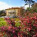 Splendore invernale a Verbania con la XVIII Mostra della Camelia a Villa Giulia