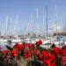 A Genova torna Yacht & Garden: dal 19 al 21 maggio tre giorni dedicati al giardino mediterraneo