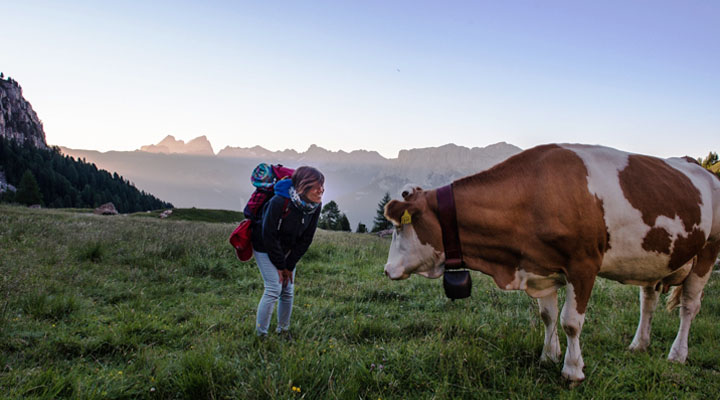 #albeinmalga_ValdiFassa