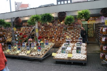 Amsterdam mercato dei fiori