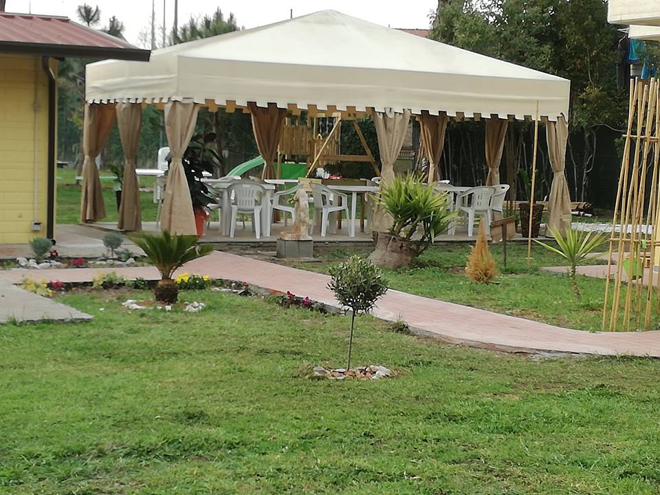 area asd