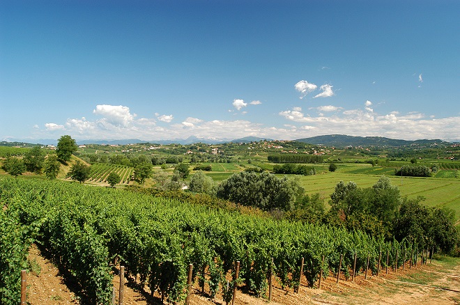 collio-day-enoteche-2014