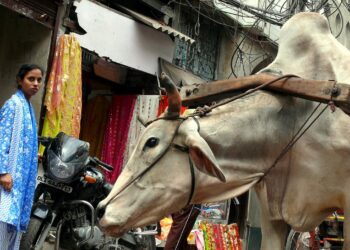 Diario di viaggio: in India tra storia e magia – Terza parte