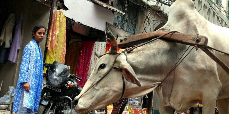 Diario di viaggio: in India tra storia e magia – Terza parte