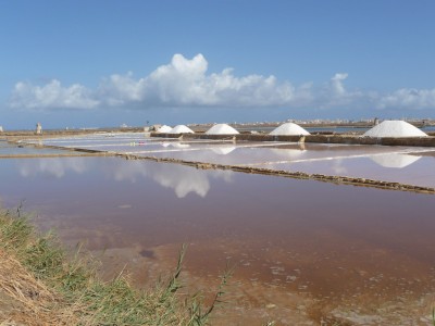 Erice | Saline Erice | Saline