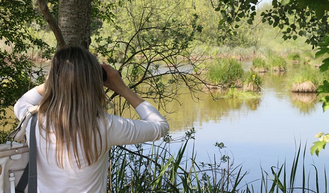 fiera-birdwatching