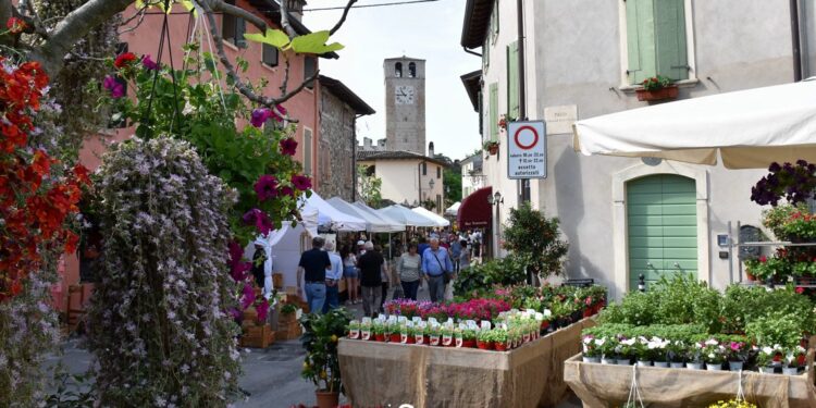 fiori