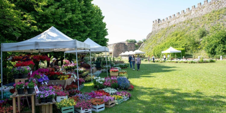 Dal 14 al 16 aprile a Lonato del Garda (BS) la XV Edizione di Fiori nella Rocca